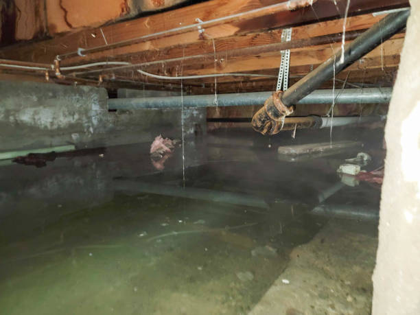 Best Ceiling water damage repair  in Cornwells Heights, PA