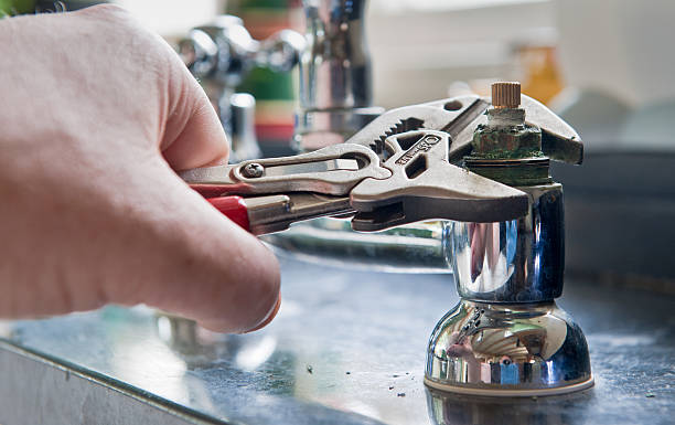 Best Flooded house restoration  in Cornwells Heights, PA