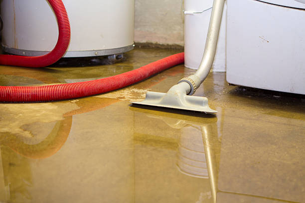 Best Water damage restoration near me  in Cornwells Heights, PA